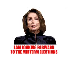 Load image into Gallery viewer, Pelosi MidTerms Cry Pillow