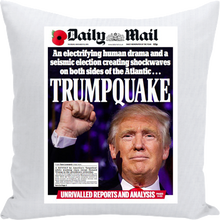 Load image into Gallery viewer, TRUMP DAILY MAIL Cry Pillow